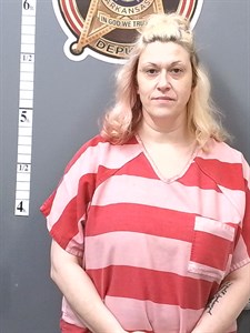 Mugshot of Casey Jo Solakian