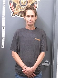 Mugshot of Leann Garner