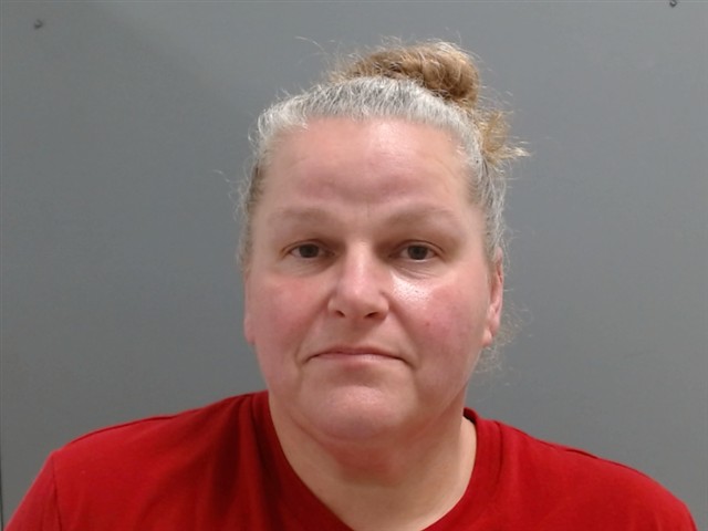 Mugshot of LISA JOHNSTON