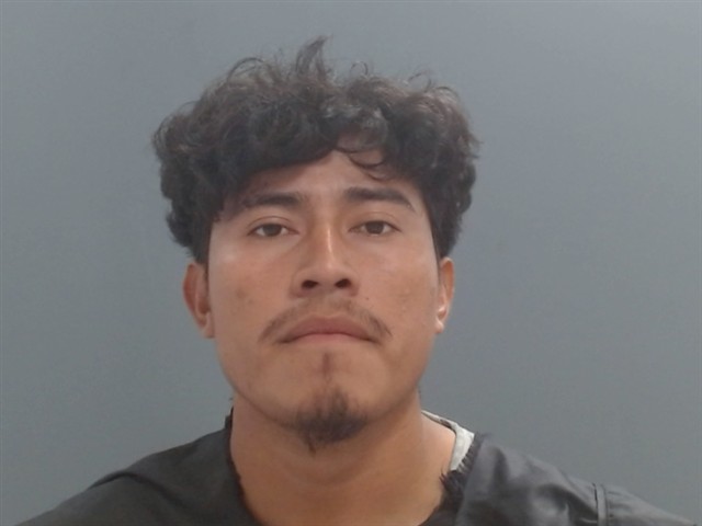 Mugshot of NERY RAX COC