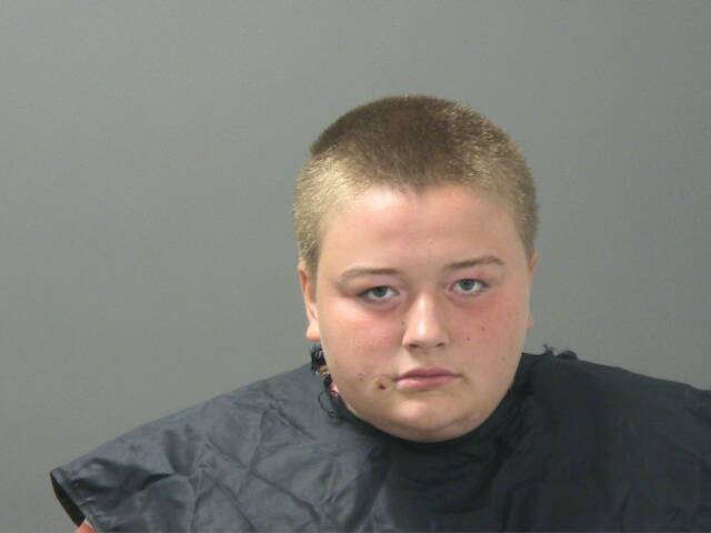 Mugshot of BREANNA SURRENA