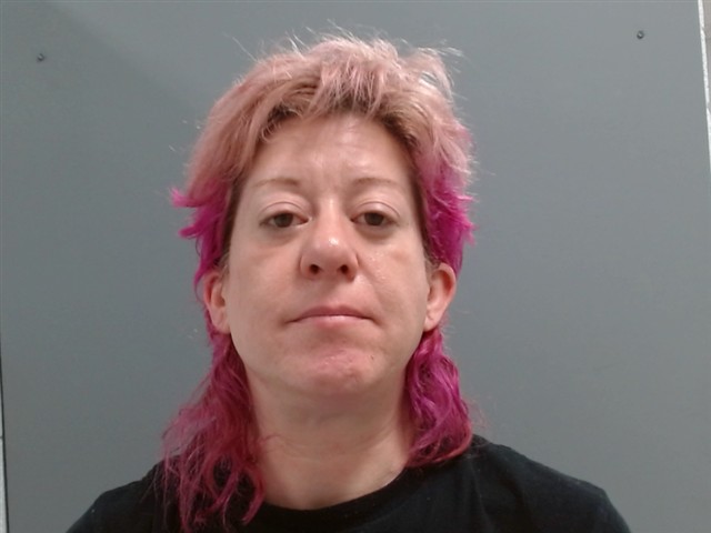 Mugshot of SARAH FRIZELL