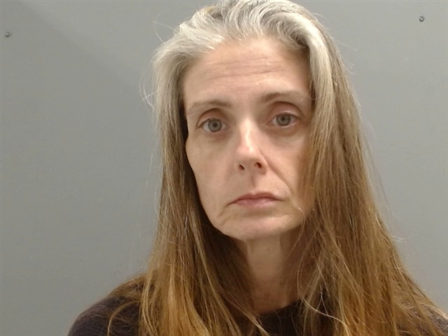 Mugshot of ALANA COOK