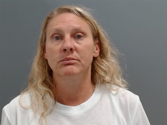 Mugshot of MELISSA WARREN