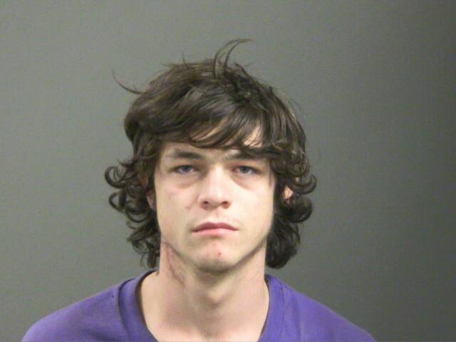 Mugshot of JAYDEN LEMING