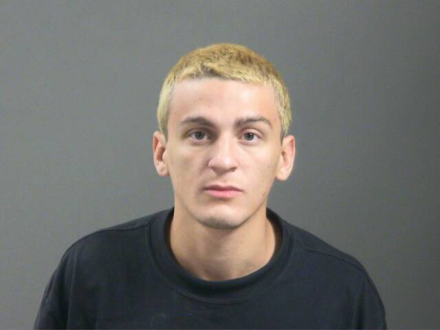 Mugshot of ADREN JERNEGAN