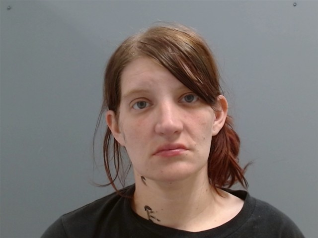 Mugshot of STACY HOLLOWAY