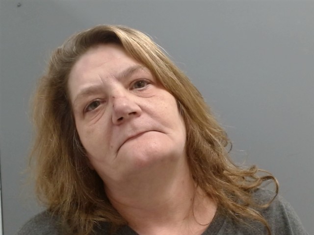 Mugshot of MISTI ERDMANN