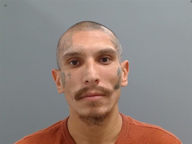 Mugshot of MARK MEERDINK