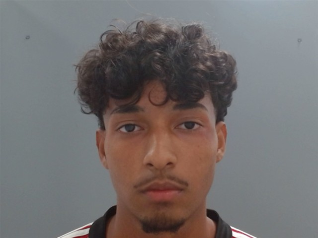 Mugshot of HOLGER AVILES