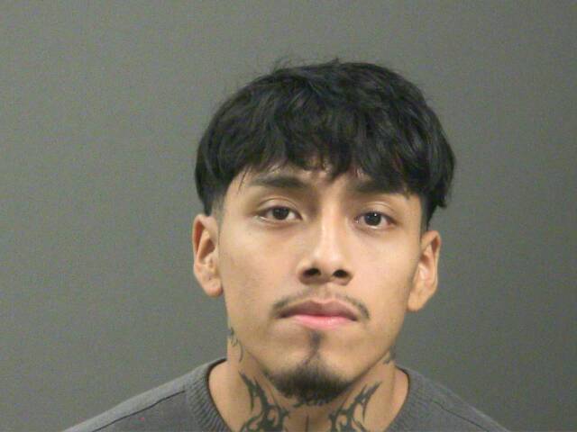 Mugshot of LUIS FLORES