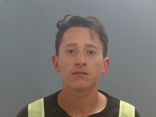 Mugshot of CARLOS LEON-HERNANDEZ