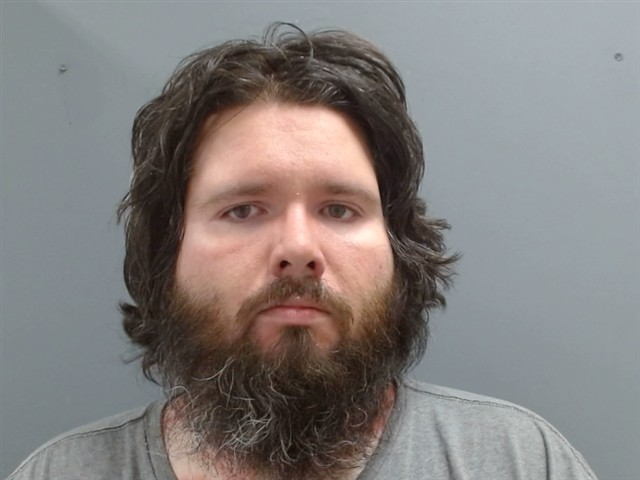 Mugshot of SEAN HAMILTON