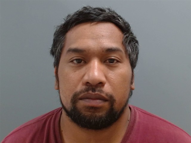 Mugshot of HANLEE TERM