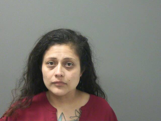 Mugshot of ANA ESTEVEZ