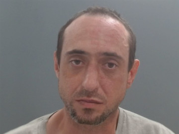 Mugshot of ROBERT BRAY