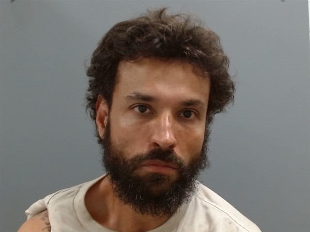 Mugshot of RICHARD DAVINER