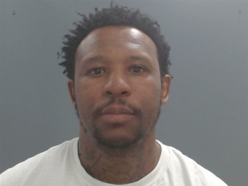 Mugshot of MICHAEL HOLLAND