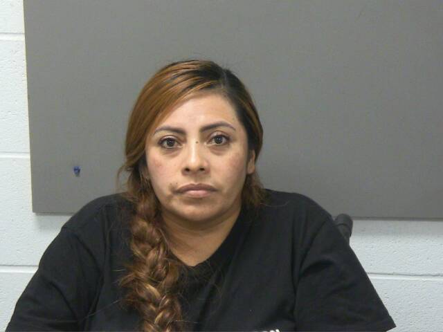 Mugshot of ELSA GARCIA