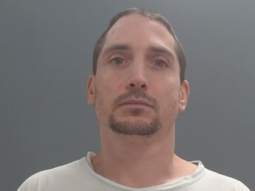 Mugshot of VAN WEAVER