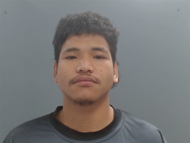 Mugshot of JOEL REMO