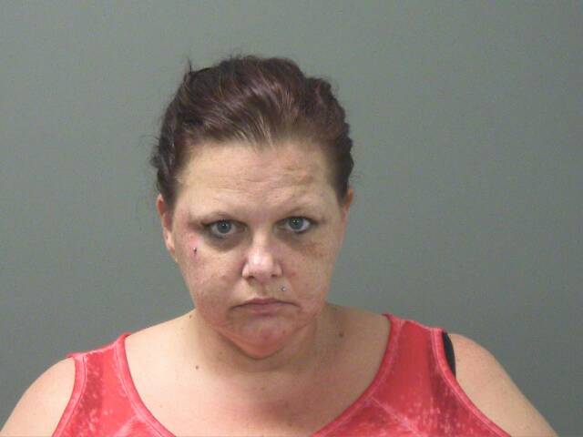 Mugshot of HEATHER DEEMS