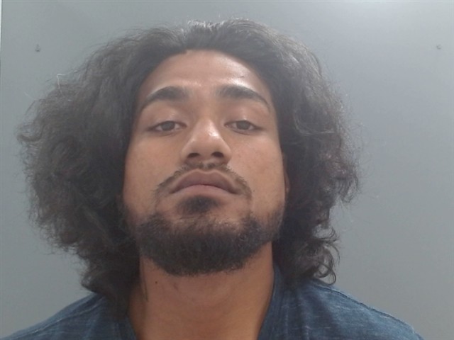 Mugshot of HENRY ALEE