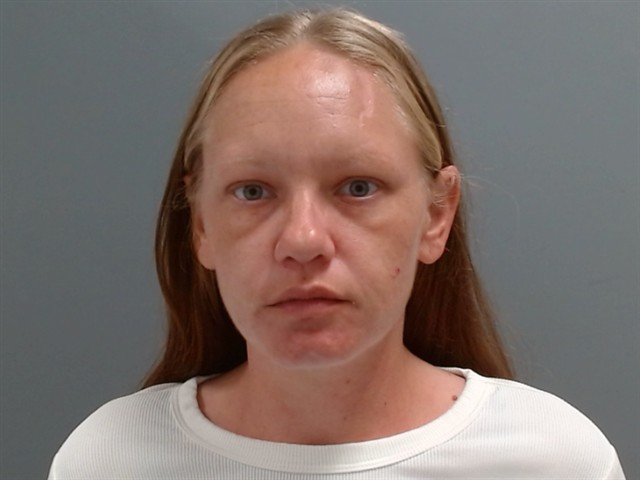 Mugshot of SHELBY SULLIVAN