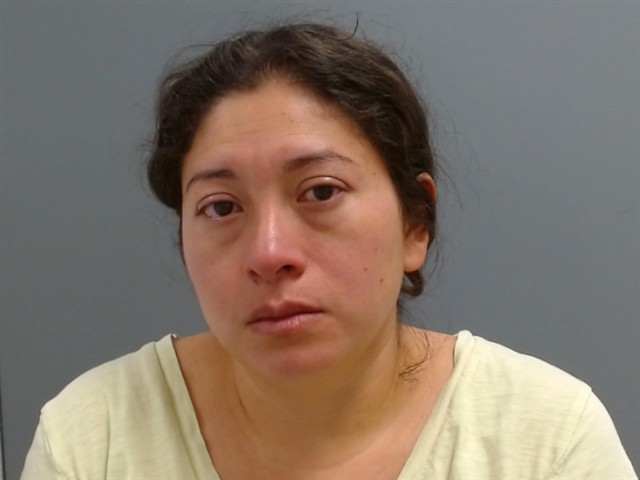 Mugshot of LEIDY SOLORZANO
