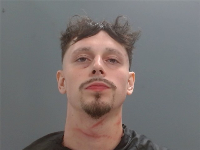 Mugshot of DEVIN SILVA