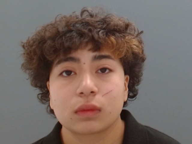 Mugshot of DANIELA HERNANDEZ