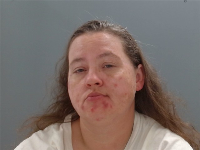 Mugshot of HEATHER HALEY