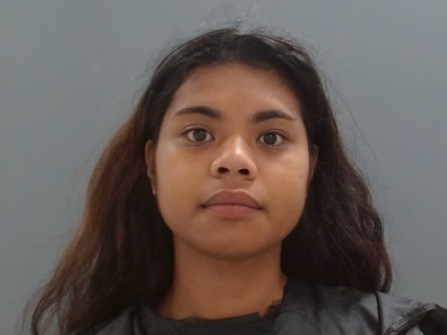 Mugshot of NEDIEA JERILONG