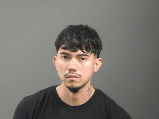 Mugshot of RODOLFO DONIS ALVAREZ