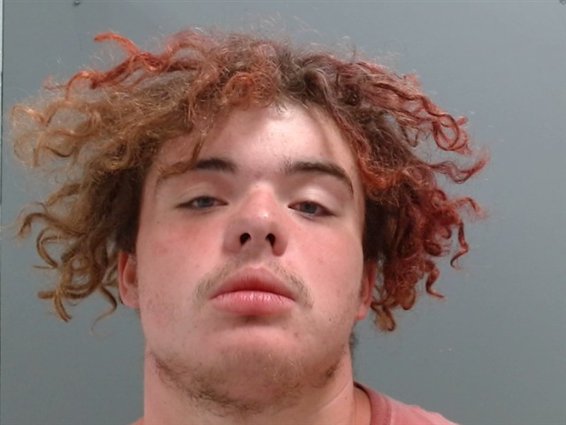 Mugshot of DEVON RAY