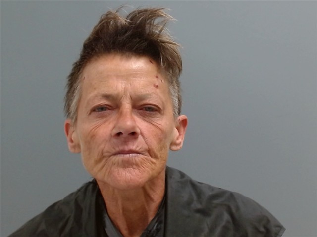 Mugshot of SARAH WOLFE