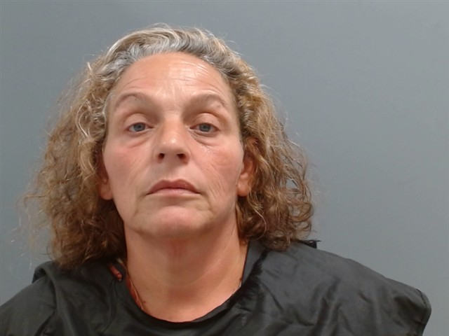 Mugshot of DIANA WARD