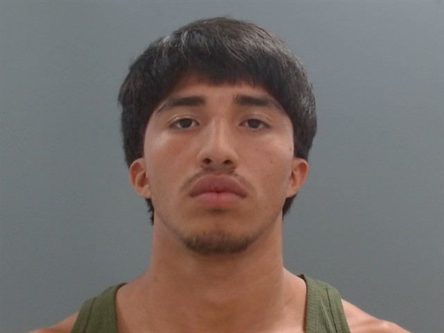 Mugshot of DELVIN VARGAS VARGAS