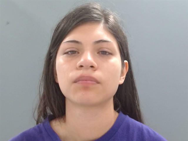Mugshot of YOLANDA SILVA