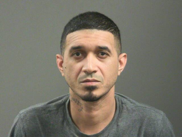 Mugshot of NAN DE JESUS