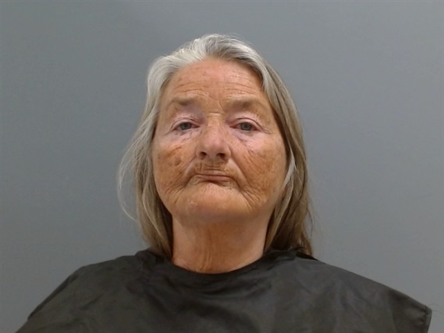 Mugshot of LAURA VINING