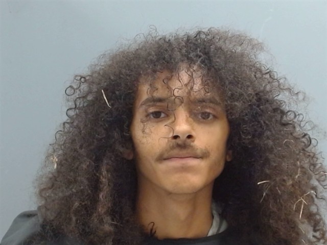 Mugshot of ERICK WALDER