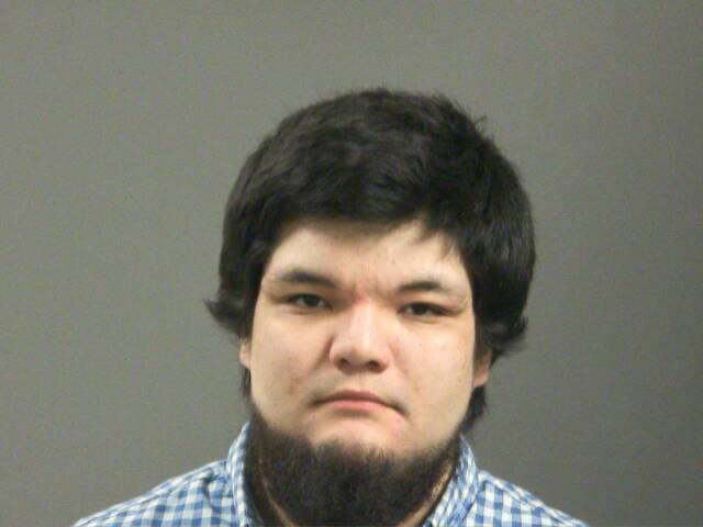 Mugshot of TREVOR ROMAN