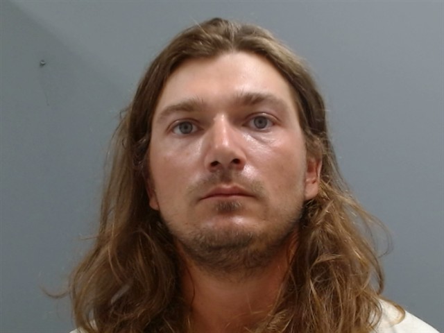 Mugshot of AARON HODGES