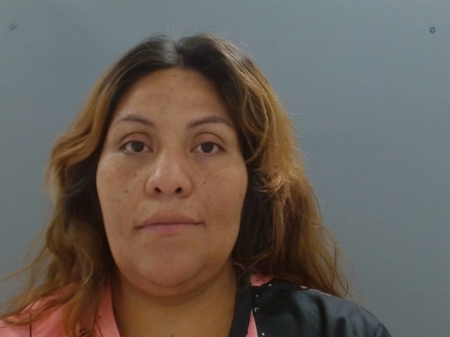 Mugshot of CLAUDIA ARAUJO