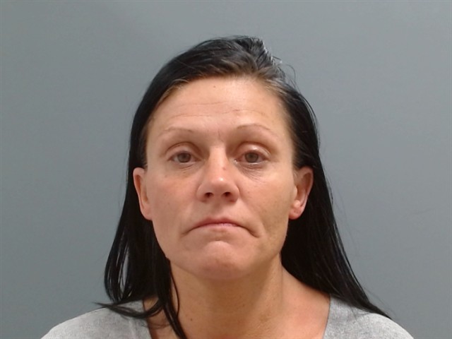 Mugshot of TONIA INGLE