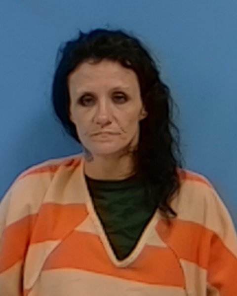 Mugshot of Bridgette Leann Craft