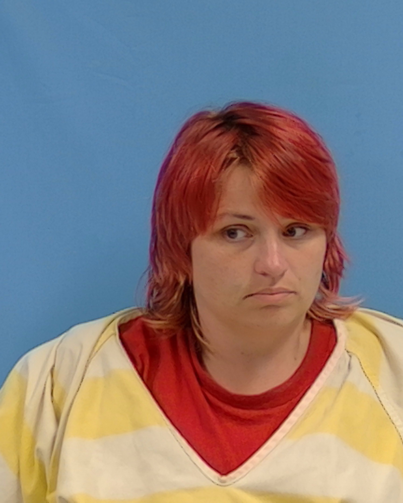 Mugshot of Tammy Lee Loveless