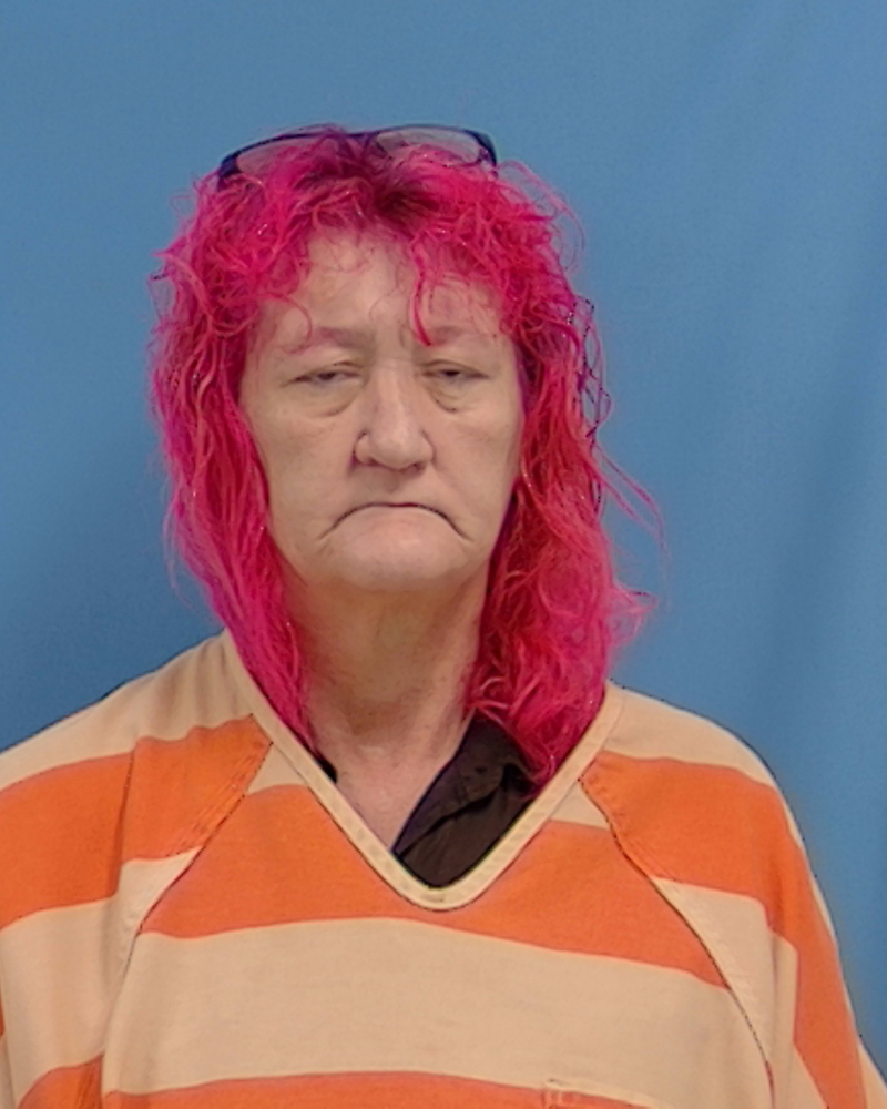 Mugshot of Cynthia Faith Stone