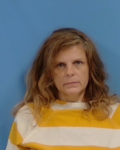 Mugshot of amelia m holliday